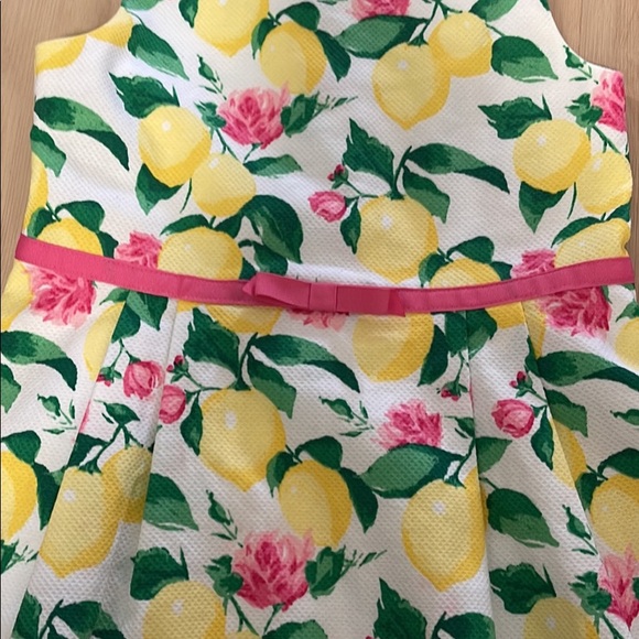 Janie and Jack. Sz 6 Easter Dress Bundle - Picture 4 of 6